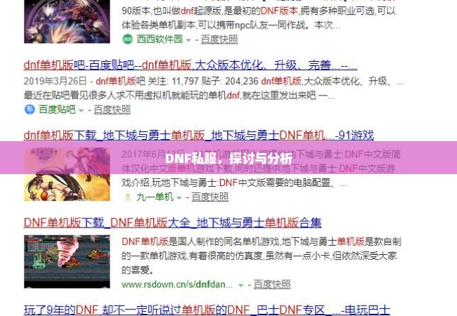 DNF私服，探讨与分析