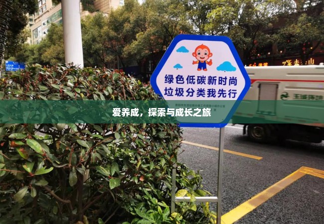 爱养成，探索与成长之旅