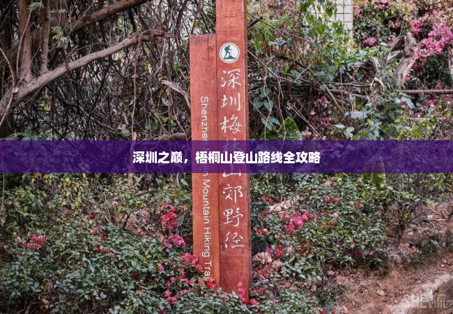 深圳之巅，梧桐山登山路线全攻略