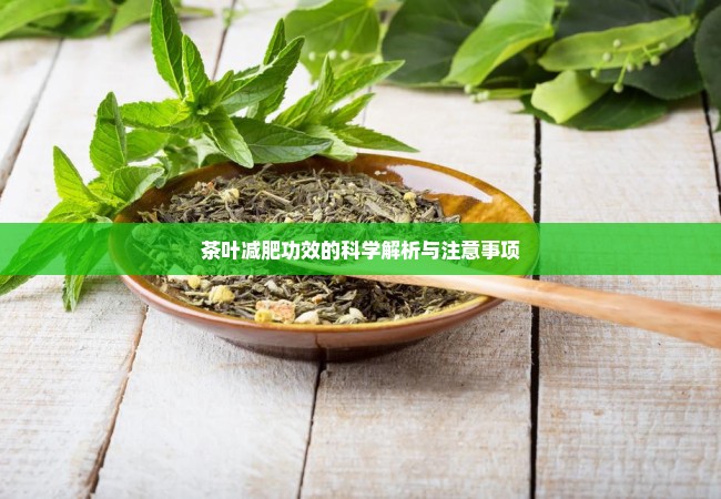 茶叶减肥功效的科学解析与注意事项