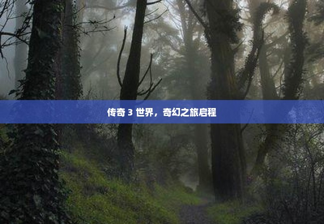 传奇 3 世界，奇幻之旅启程