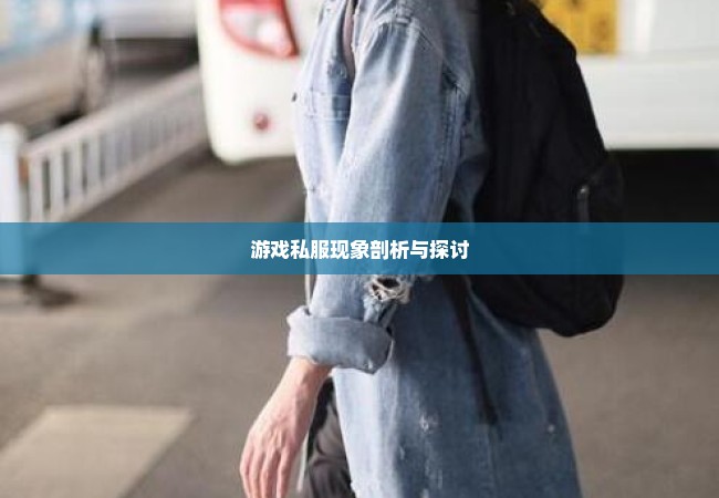 游戏私服现象剖析与探讨