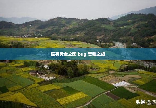 探寻黄金之国 bug 奥秘之旅