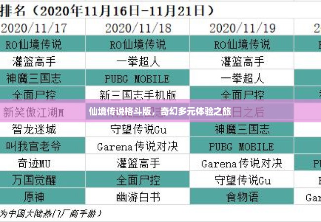 仙境传说格斗版，奇幻多元体验之旅