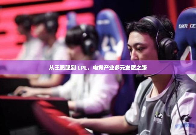 从王思聪到 LPL，电竞产业多元发展之路