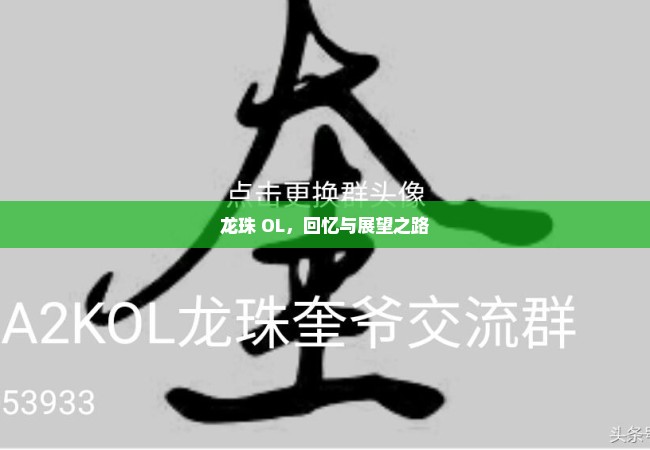 龙珠 OL，回忆与展望之路