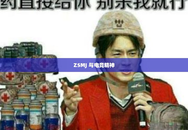 ZSMJ 与电竞精神