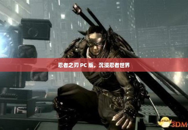 忍者之刃 PC 版，沉浸忍者世界