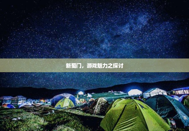 新蜀门，游戏魅力之探讨