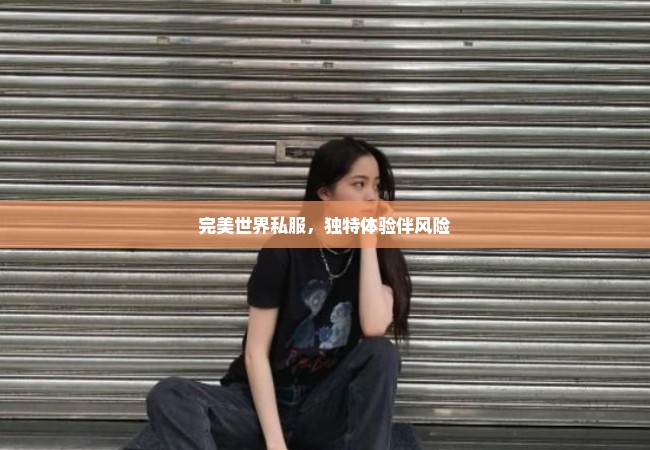 完美世界私服，独特体验伴风险