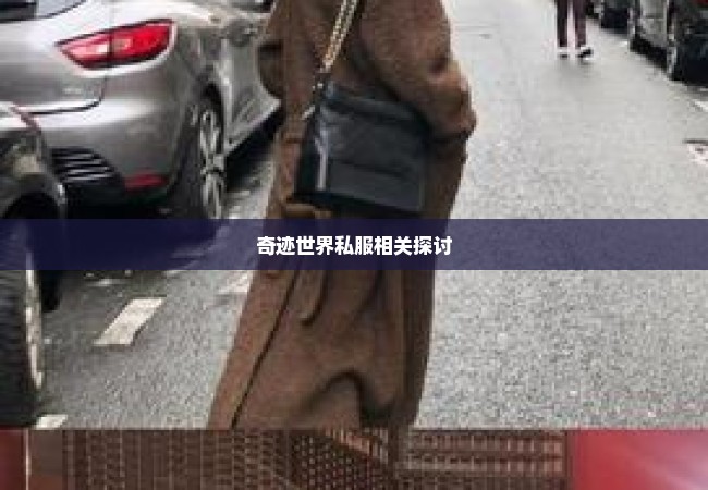 奇迹世界私服相关探讨